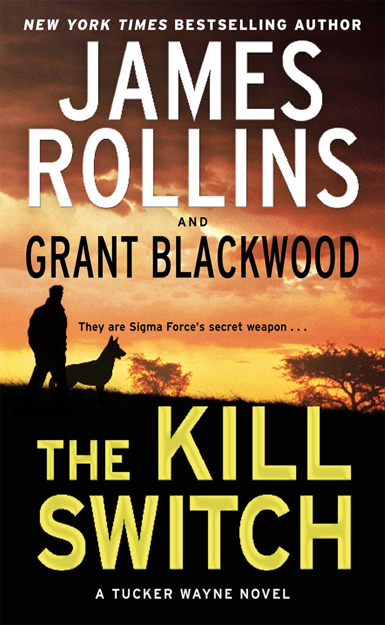 book image cover