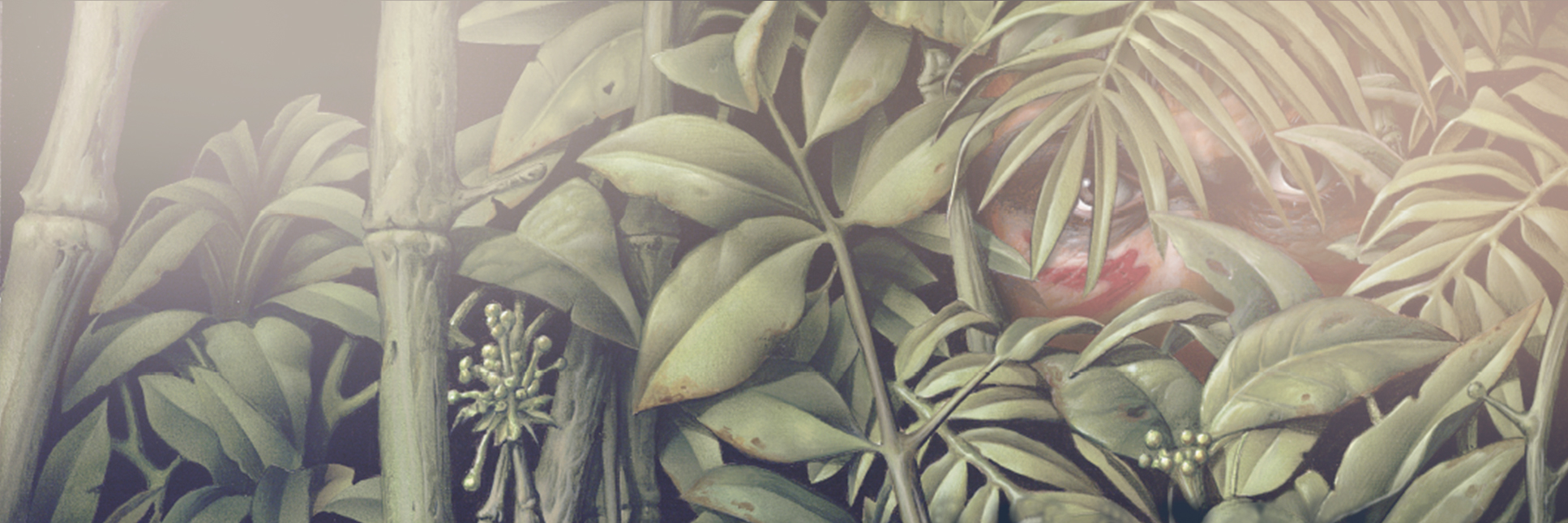 Inner Banner bg
