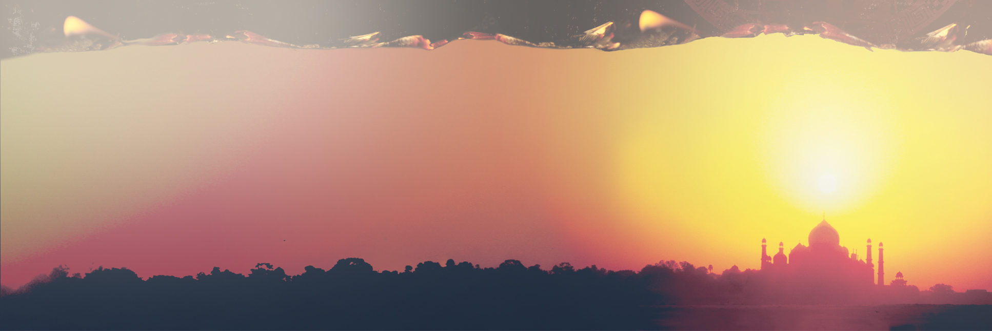 Inner Banner bg