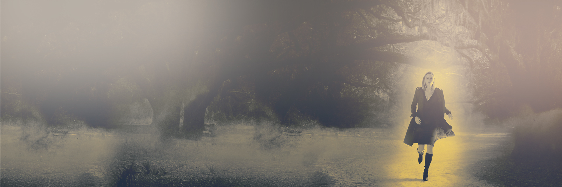 Inner Banner bg