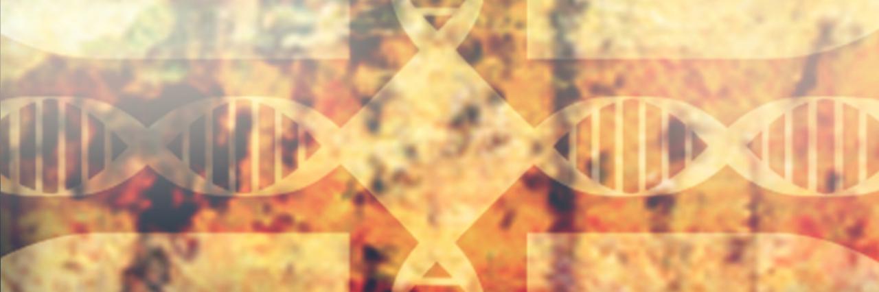 Inner Banner bg