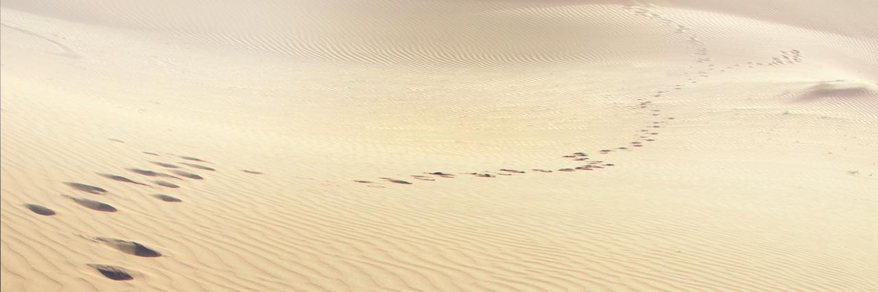 Inner Banner bg