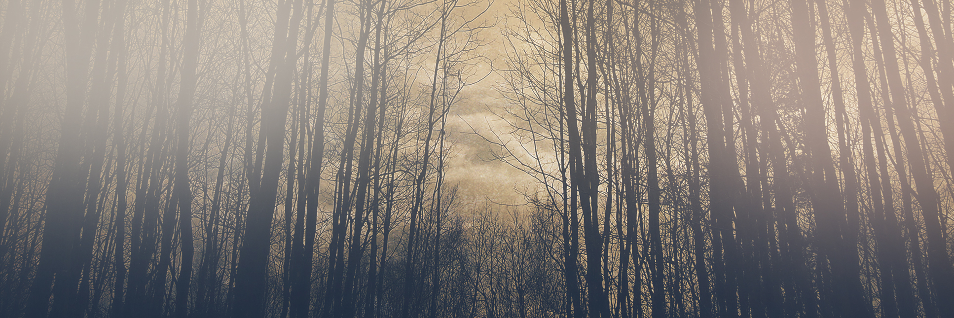 Inner Banner bg