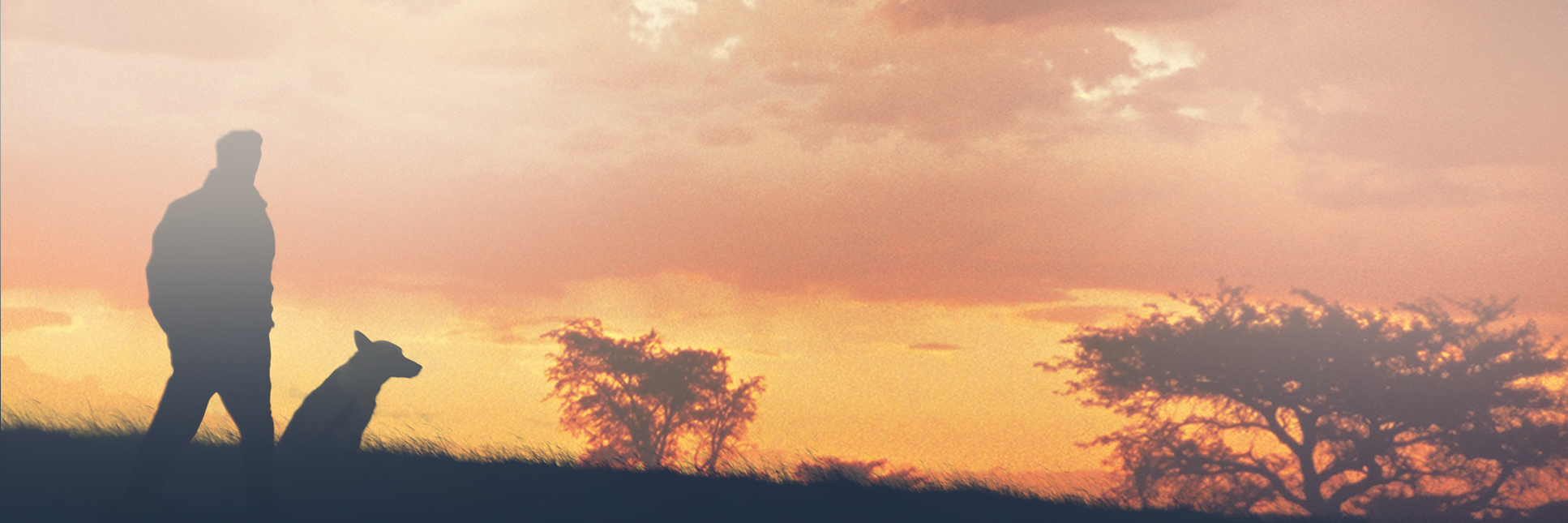 Inner Banner bg